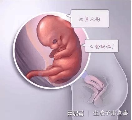周医生